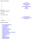 Tablet Screenshot of brentusergroup.com